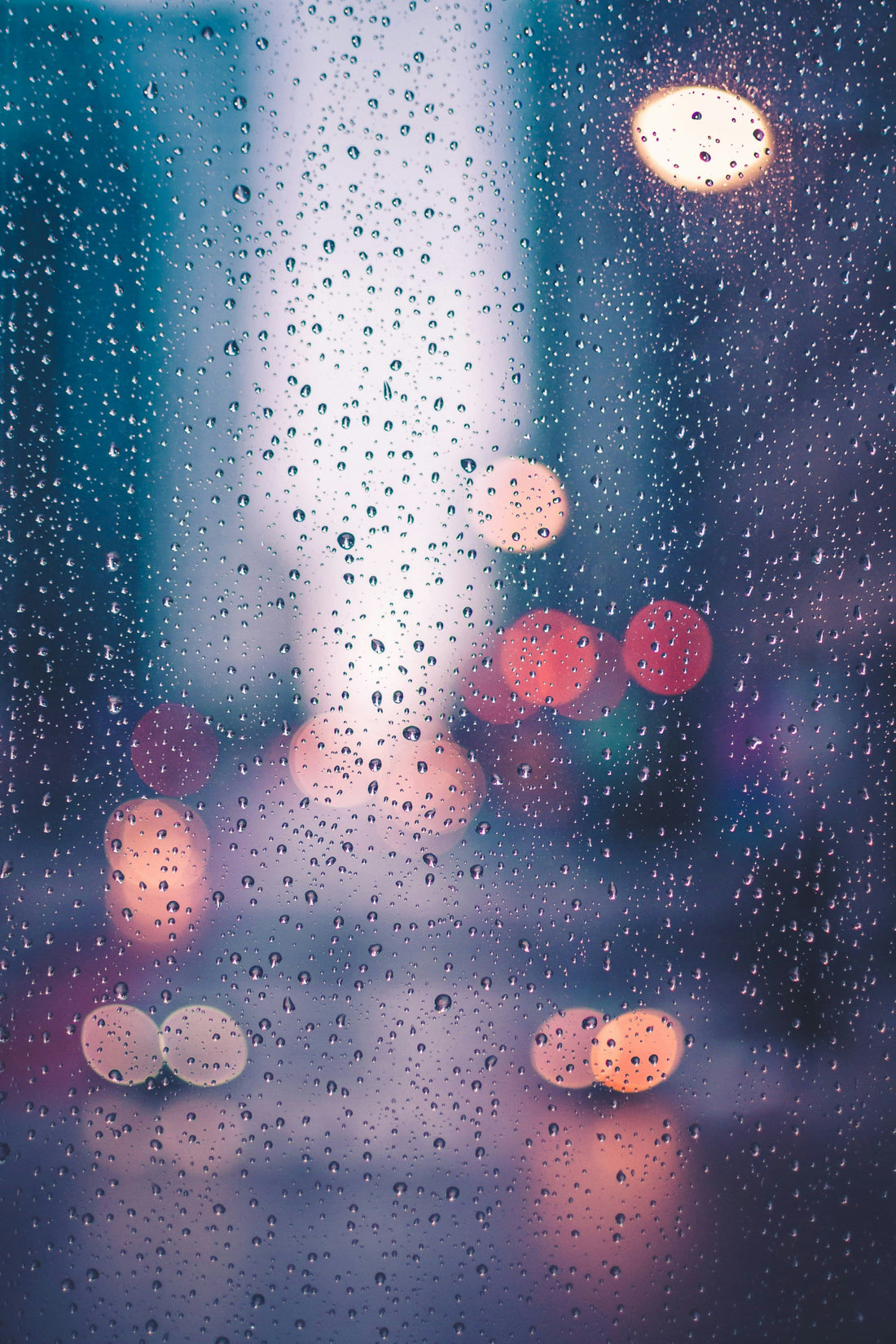 Fun Things to Do on a Rainy Day